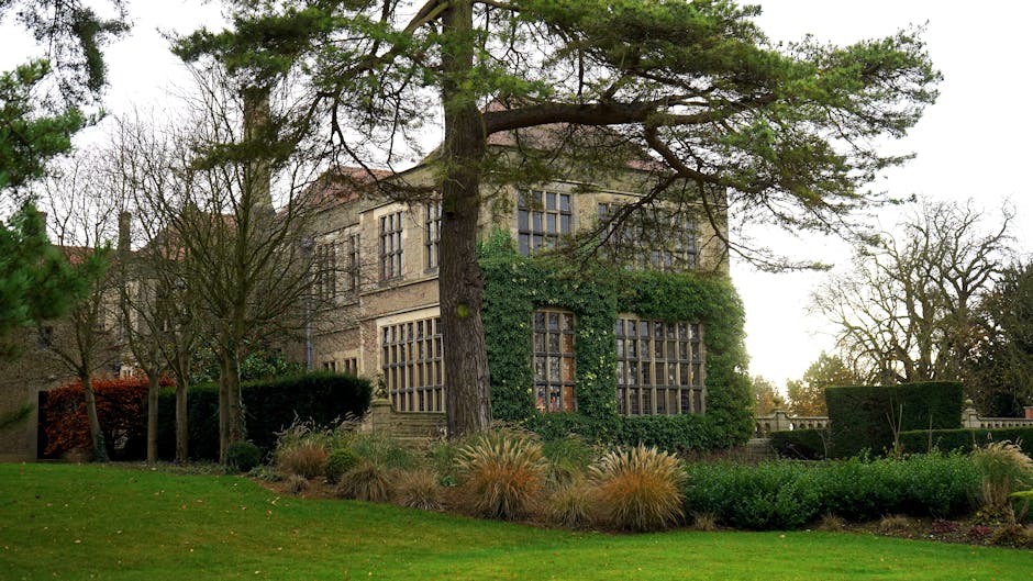 A large, multi-storey house with a stone facade, partially covered in green ivy climbing up the front. The building has numerous rectangular windows with wooden frames, some of which are divided into smaller panes. In front of the house, a spacious lawn features a variety of landscaped plants, including ornamental grasses and neatly trimmed bushes. A tall, mature pine tree extends its branches over the scene, providing partial shade to the area. Surrounding the property are other leafless trees, indicating a possible autumn or early winter season. The lighting suggests late afternoon or early evening, with a soft, warm glow highlighting the natural environment. The scene is captured from a slightly elevated viewpoint, emphasizing the house's prominent position amidst the well-maintained garden, which is often associated with residential properties undergoing possible home relocation or furniture transport processes. The image is consistent with a professional removals service, such as Man With a Van Eastcote, preparing items for moving or storage within this scenic setting.