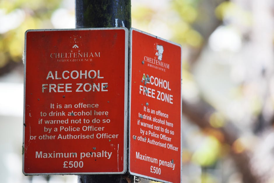Two red Cheltenham Borough Council alcohol-free zone signs are mounted on a black metal pole in an outdoor setting. The signs are weathered with some scratches and paint chipping, displaying the message 'ALCOHOL FREE ZONE' in bold white letters, along with a warning that drinking alcohol here without permission is an offence with a maximum penalty of £500. One sign is fully visible, while the other is partially obscured, both positioned near a pavement area with blurred foliage and sunlight creating a softly lit background. The signs are part of a local traffic or public safety measure, relevant to house removals and moving logistics, indicating the importance of obeying local regulations during furniture transport and home relocation activities, which companies like Man With a Van Eastcote may need to consider when planning moves in the area.